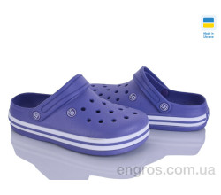 Кроксы Golden Lion